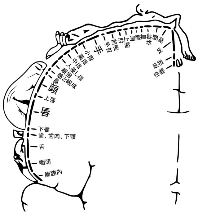 乳首が気持ちいいと感じる触り方！女性がイクやり方｜風じゃマガジン