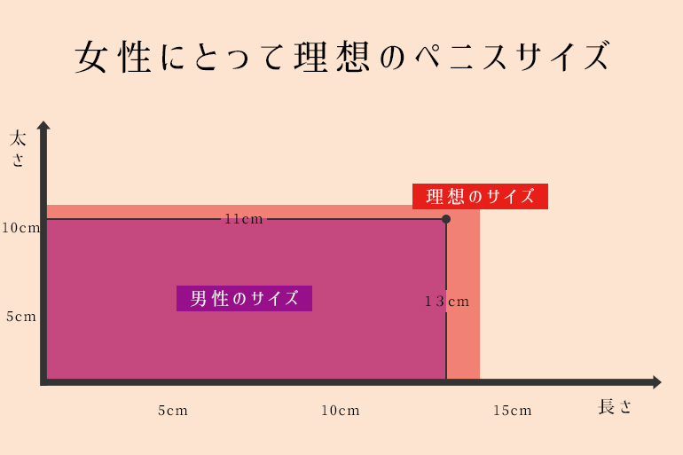 日本人の男性器は実はアメリカ人よりすごい 膨張率は米国人の2.6倍に対し、日本人3.6倍で固さも上 : テスト