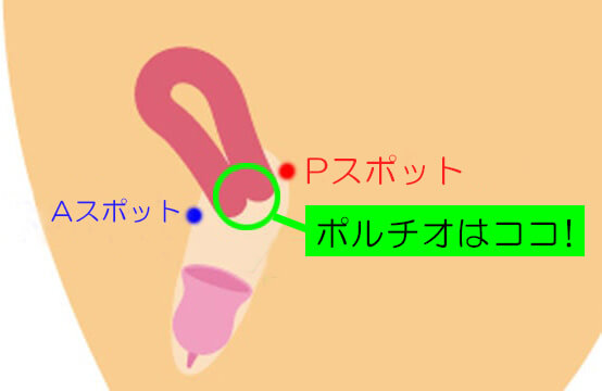 中国からの直送】日本NPG 愛宮涼 人妻オナニー 男性逆さモデル 実物膣