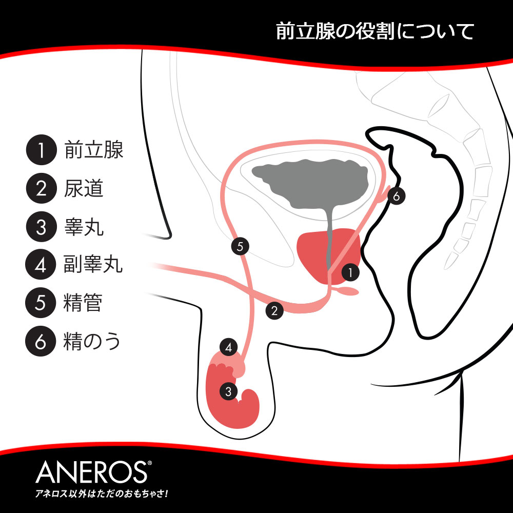 アクセスのご案内 | ホットヨガ aina