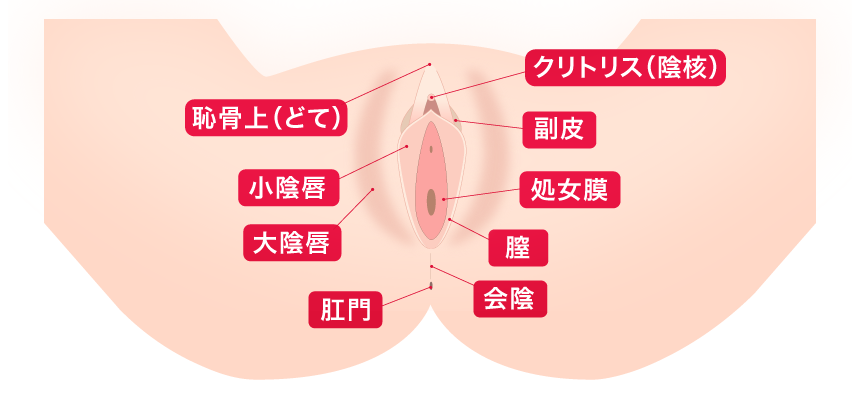 超越名器 ｜ オナホ ｜ リグレジャパン