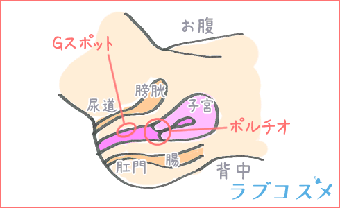 AVで見かける「杭打ち騎乗位」とは？魅力・やり方・注意点・動画を紹介｜駅ちか！風俗雑記帳