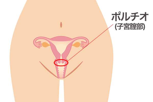 ポルチオを開発すると中イキできるかも！気持ちいい触り方やおすすめの体位をご紹介 | ファッションメディア -