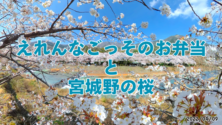 楽天市場】【接木4年生】エレガンスみゆき桜 ５寸鉢植え 桜 苗木