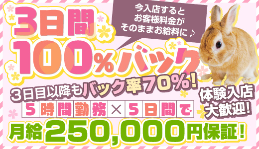 九州/沖縄のSM｜[人妻バニラ]30代女性の人妻風俗・熟女求人