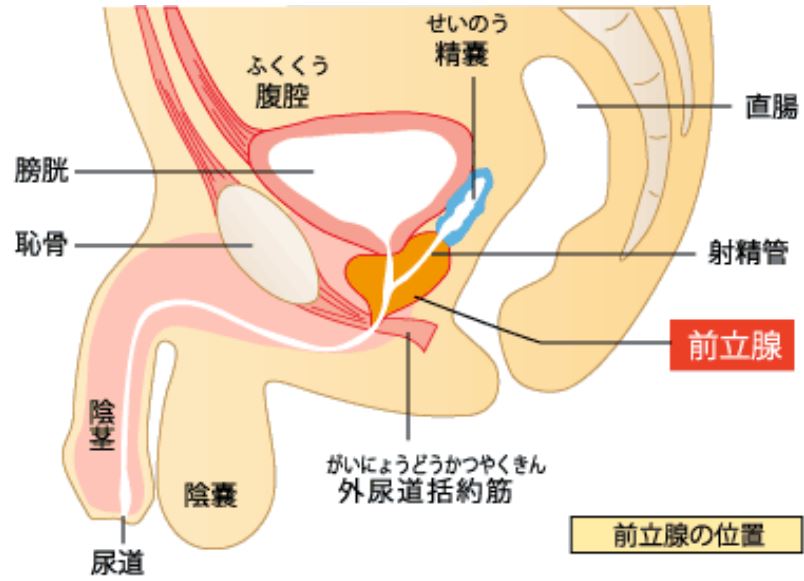 絶対に勃たない男vs絶対に勃たせる女 | 写真で一言ボケて(bokete) -