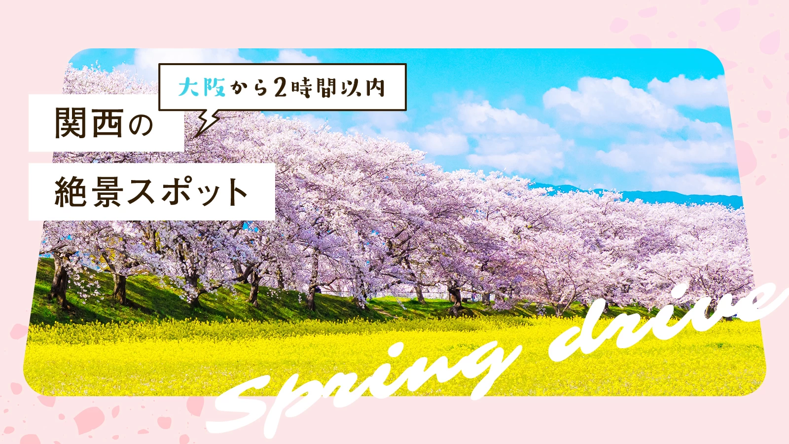 ぴゅあらば】求人にも影響大！高級店特集ページリリース！兵庫エリア料金改定！｜風俗広告のアドサーチ