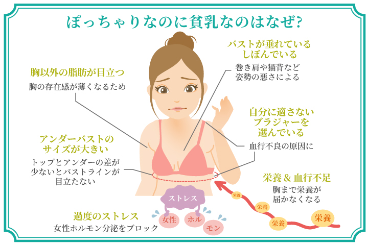 垂れ乳・左右差のある胸・貧乳などどうしたら変わるかわからない方へ｜◇毛穴撲滅＆ニキビケア・ハーブピーリング専門店 CELL～セル～◇