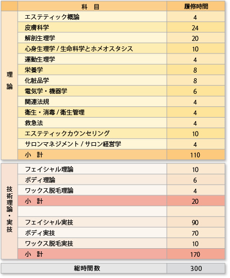 フェイシャルリンパケアセラピスト資格取得講座｜通信教育講座・資格のキャリカレ