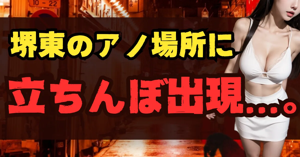 風俗Xファイル／関西ちょんの間紀行2011⑪ 大阪・堺で立ちんぼの捜査をせよ