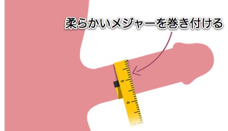 トイレットペーパーを使ったペニスの大きさと太さの測り方を紹介！｜風じゃマガジン