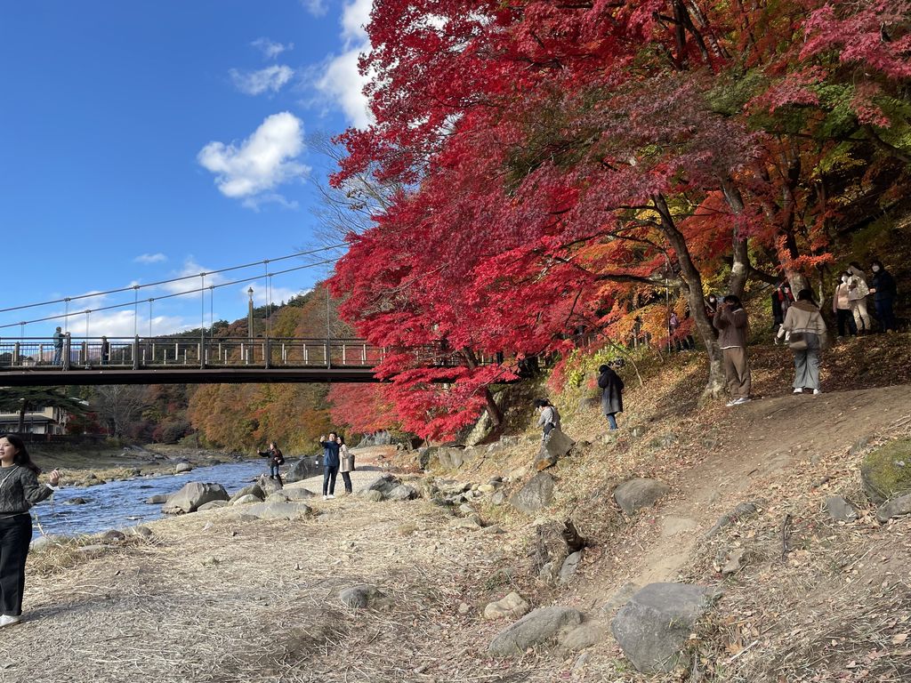 野崎