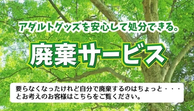 大人のおもちゃ処分の正解！不要品を誰にもバレずにキレイに処分する方法｜大人 の おもちゃ