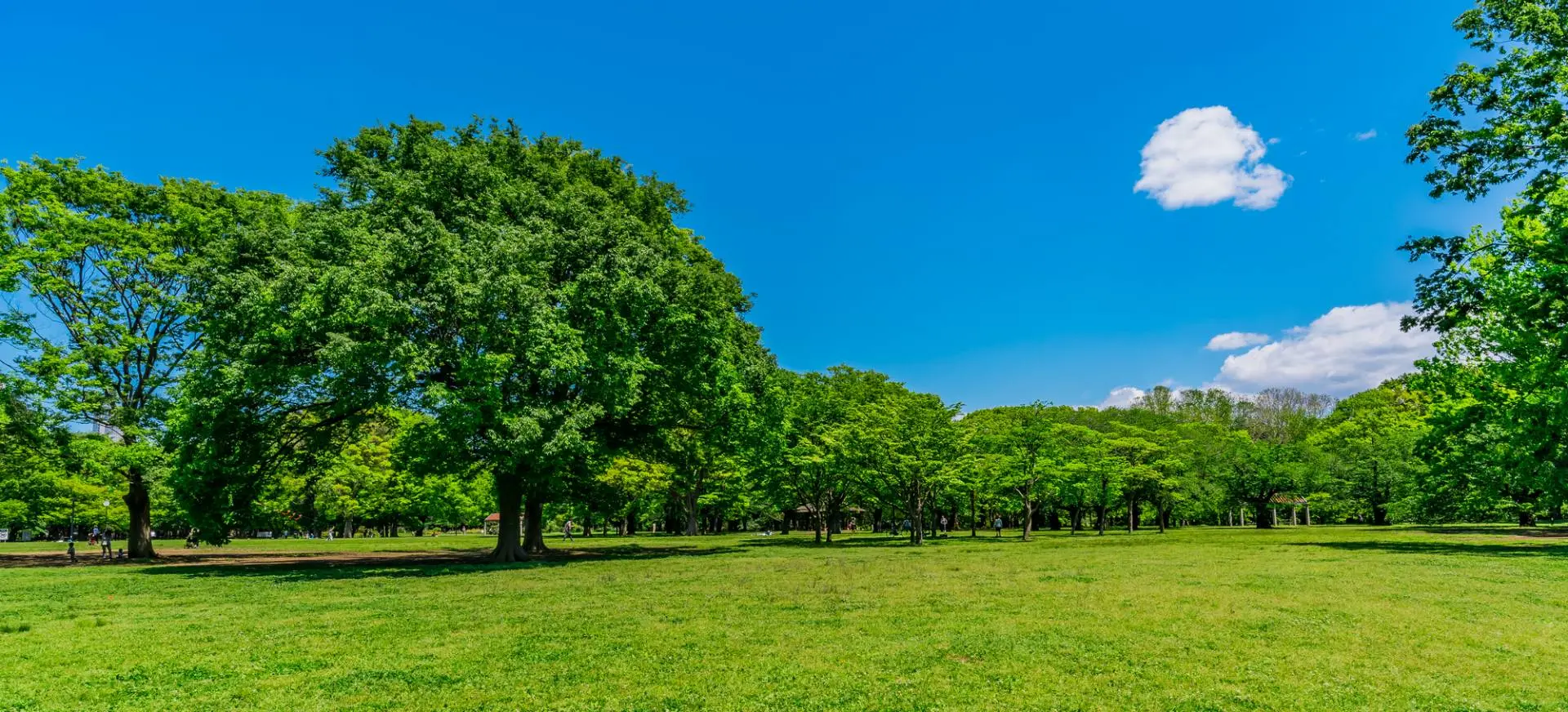 代々木公園で過ごすほっこり時間。