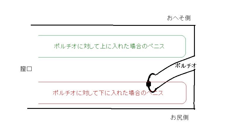 次世代ＨＯＬＥ ＨＯＮ－ＭＯＮＯ人工皮膚