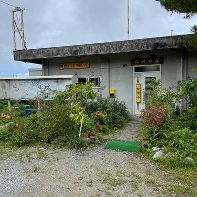 1,000円で天ぷら食べ放題！大宜味産の蕎麦を食べられる「江州の花」