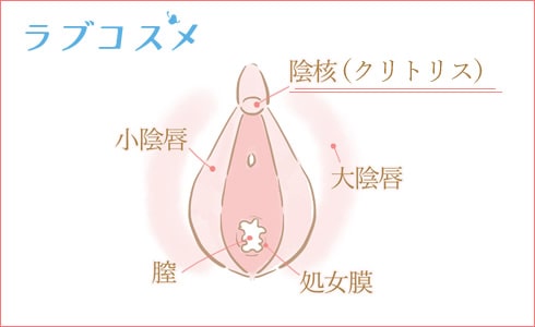 クリトリスバイブ 潮吹き ローター 乳首開発 クリ責め