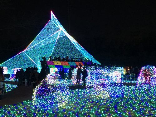 この夏、蜷川実花with EiMらのアートが葛西臨海水族園・公園にひろがる | Numero TOKYO