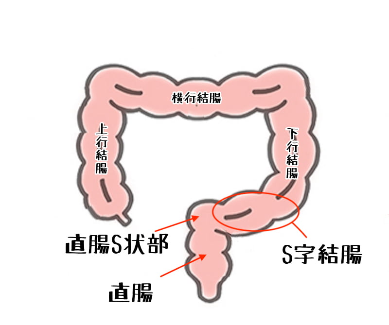 結腸 責めエロ動画 |