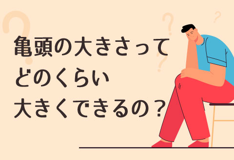 医師監修】ペニスの構造とその役割とは？個人差は？ | メンズライフクリニック【公式】