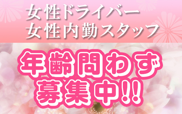 豊橋市の風俗男性求人・バイト【メンズバニラ】