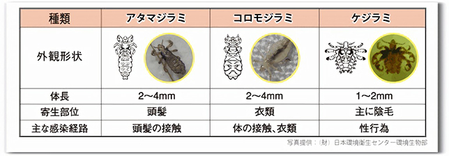 病草紙 毛虱 文化遺産オンライン