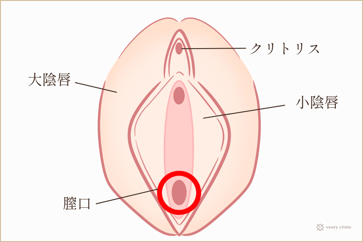 クリトリス包茎手術｜見た目・感度を改善！女性器整形「クリトリス包茎手術」の効果・経過・ダウンタイムとは｜美容整形・美容外科のTAクリニックグループ