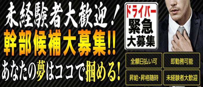 千葉県の風俗店員・受付スタッフ求人！高収入バイト募集｜FENIX JOB