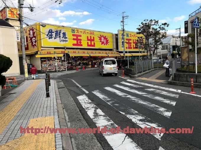 体験談】コスパだけじゃない！大阪信太山新地の遊び方やオススメ店は？ │ すすきの浮かれモード