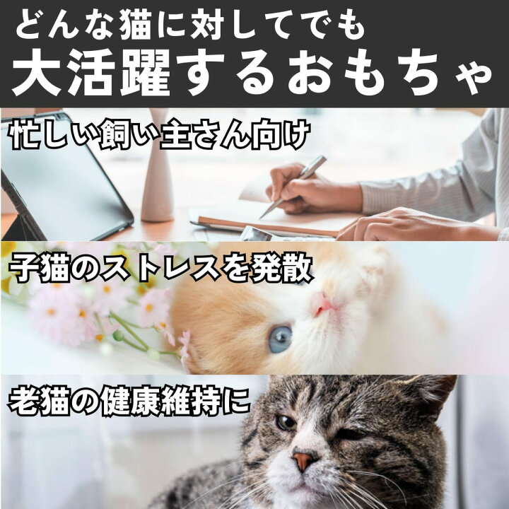 猫 おもちゃ 電動 ボール 一人遊び