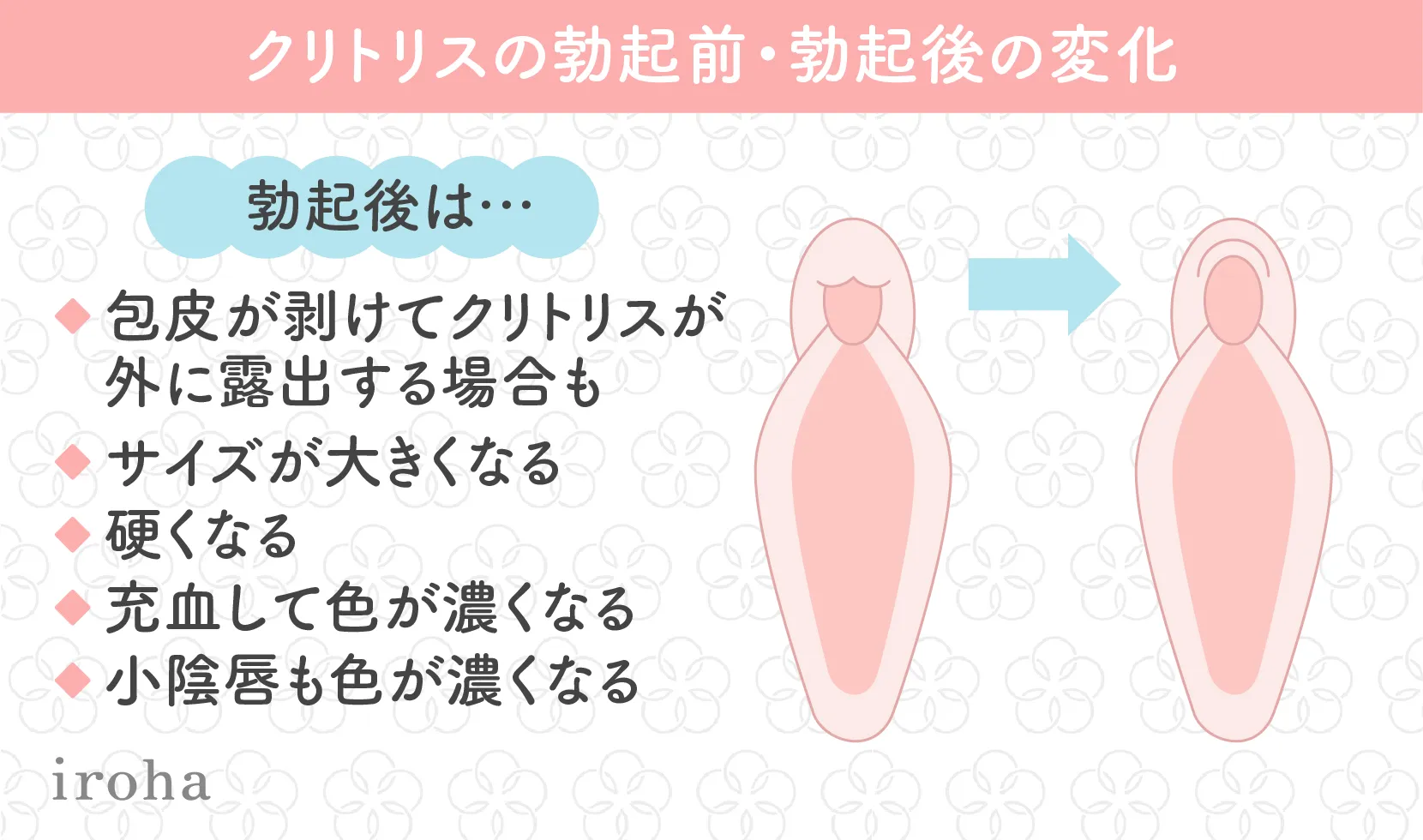 個撮】可愛い顔した35歳パイパン人妻。 執拗な玩具責めでクリトリス勃起→我慢の限界を迎えて痙攣イキ！ FC2-PPV-4512885