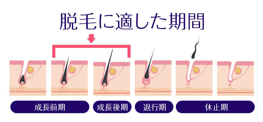 眉毛は抜くと剃るどっち派？メリットデメリットと美眉になるための処理方法 | LIPS