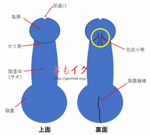 彼氏がEDでつらい・別れたいと感じた時にパートナーにできることは？EDの原因も解説