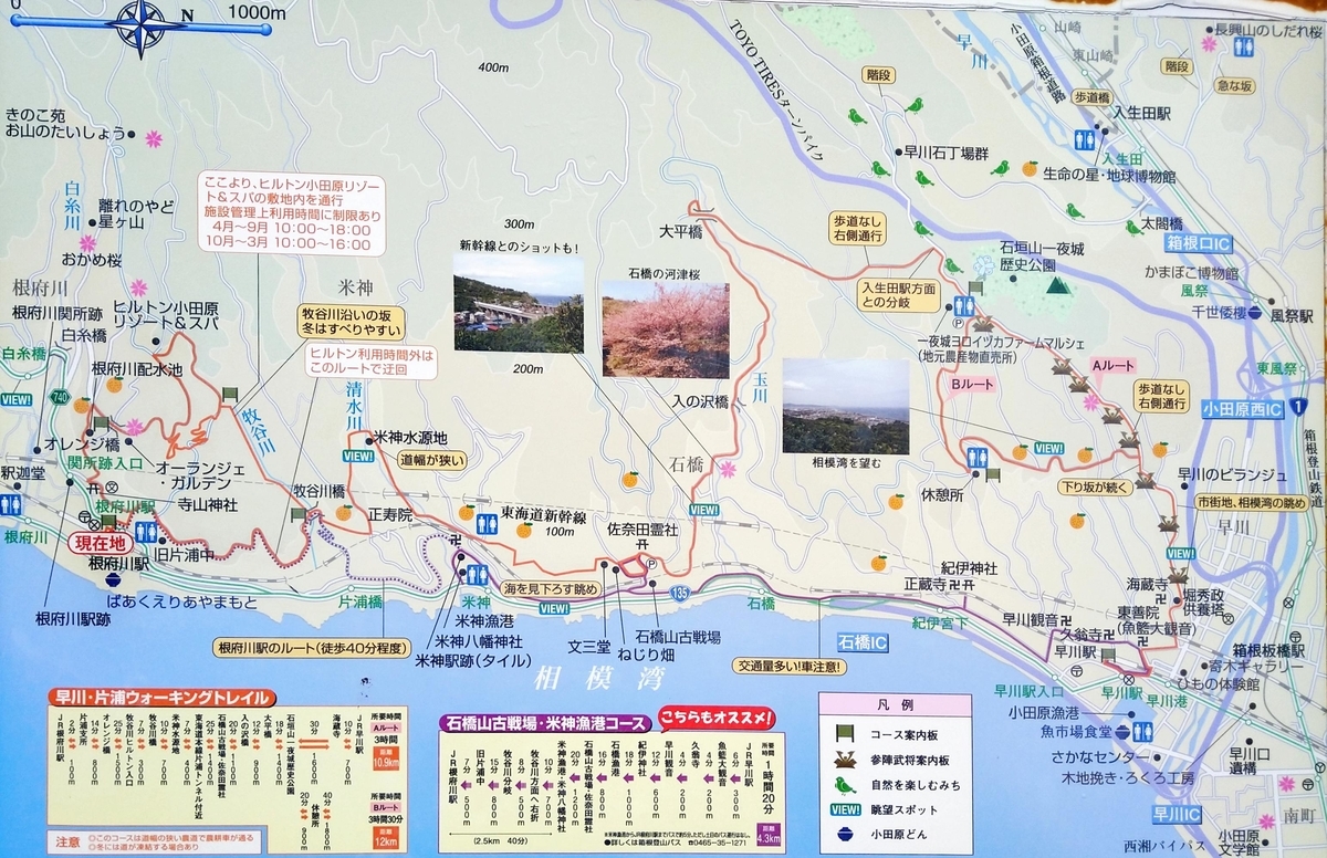 潮騒の駅根府川・江之浦漁港コースは車に注意: 放浪力３