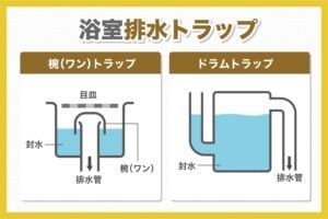 汚い写真があります。お風呂掃除してたら半透明のプニプニしたものがありまし - Yahoo!知恵袋