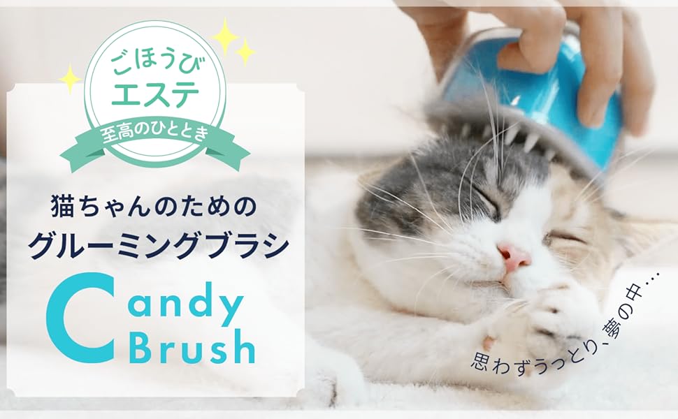 猫ちゃんへの至高のご褒美！夢見ごこちの極上エステブラシ「Candy Brush」