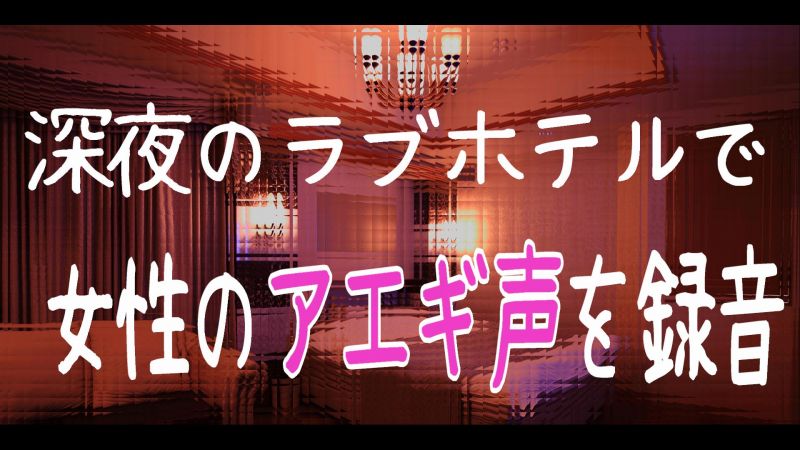 盗聴】深夜のラブホテルで女性のあえぎ声を録音【最新版】 | デジタルコンテンツのオープンマーケット