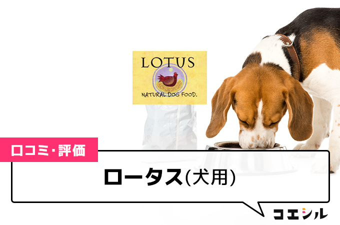 評判・口コミどう？】ビタワン(犬用)ドッグフードの調査結果まとめ！