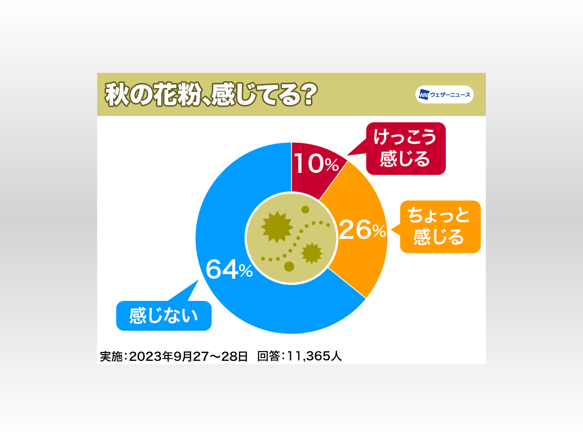 鼻水ずるずる」秋の花粉症 原因は雑草の『ブタクサ』「猛暑の影響で飛散増加か」スギ花粉より強い症状の人も どう防いだらよいのか(tbc東北放送) - 