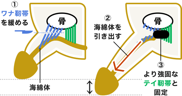 元銀座ホステスが伝授】粗チンで女をイカせる方法と女性の心理20選！短小ちんこでも意外に満足！ | Trip-Partner[トリップパートナー]