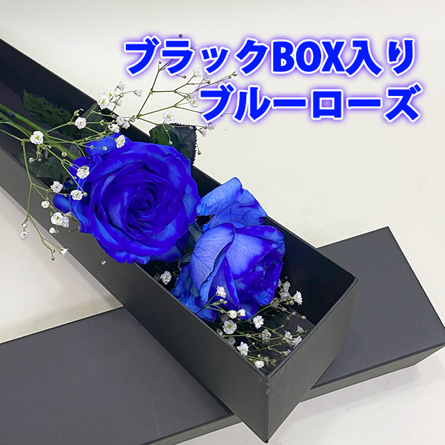 本日発売の「BLUE ROSES ～妖精と青い瞳の戦士たち～」，条件を満たすと仲間になるのはわがままアイドル＆男の娘