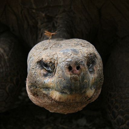 本当はエロかった昔話』、浦島太郎と乙姫の淫らな関係！ - メンズサイゾー