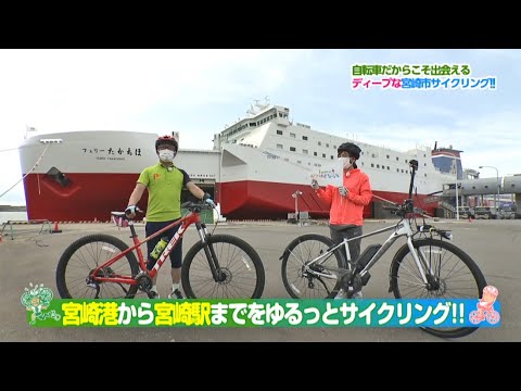 宮崎県にあるバケーションホーム (一棟貸し)の空室状況をチェック