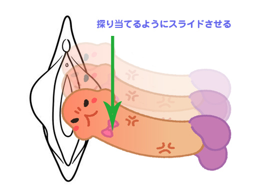 セックスってどうするの？ | SEXOLOGY