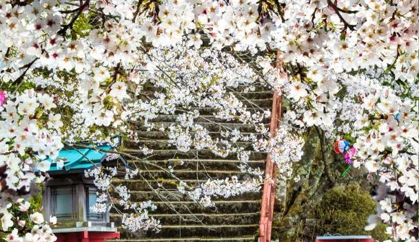 福知山市の人気ホテル・旅館をお得に予約！