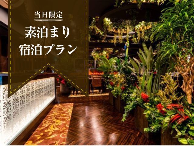 池袋西口のホテルバリアンリゾートフォレスト池袋西口店 | 女子会・カップルズホテル利用もできる複合型進化系ホテルのバリアングループ