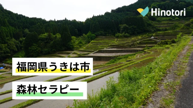 健康法｜「園芸セラピー」植物を育てて健やかに過ごそう | 世田谷自然食品