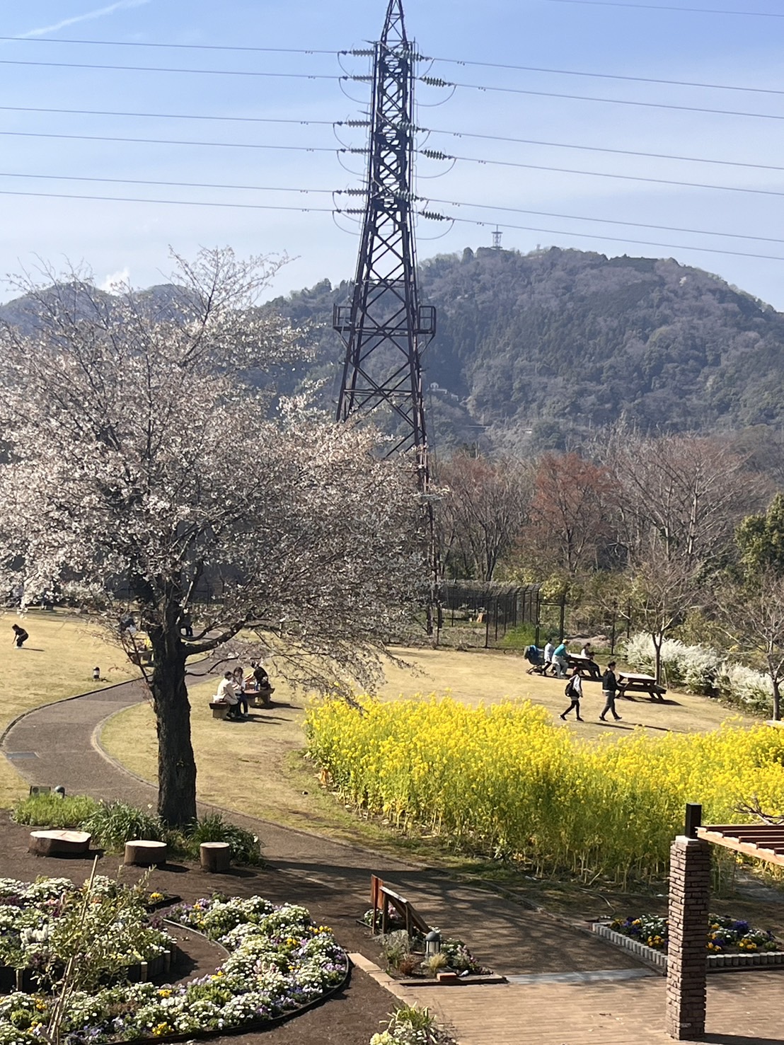 楽しく安全に遊べる公共施設！相模原市のこどもセンター4選 | I'M HOME SAGAMIHARA（アイムホーム相模原）