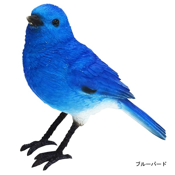 Café Bluebird（カフェ ブルーバード）