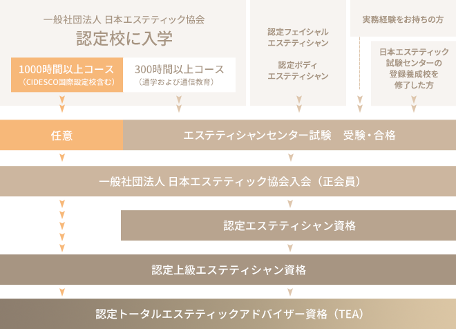 ２０２２年度全員合格！日本エステティック協会の資格試験 | 埼玉の美容専門学校 埼玉東萌美容専門学校（旧 東萌ビューティーカレッジ）